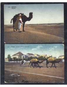 Dos tarjetas postales ilustradas Túnez escenas dromedarios Otros Mundial - 1900 a 1930.